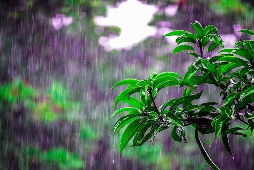 Coming soon……Monsoon