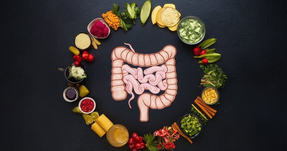 Enhancing Digestive Health with Ayurvedic Medicine for Digestive System