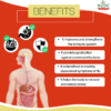 MSK Plus Kadha - Image 5