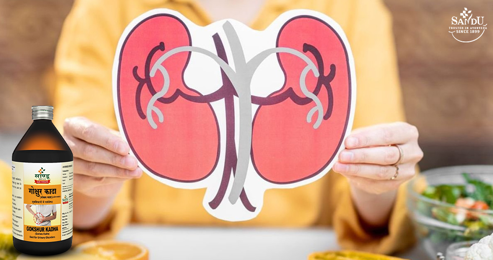 Discover the Best Ayurvedic Medicine for Renal Health 