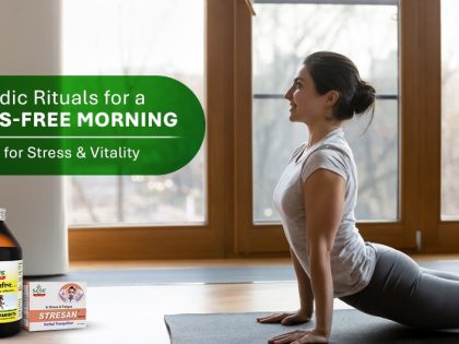 Women Doing Yoga in Morning