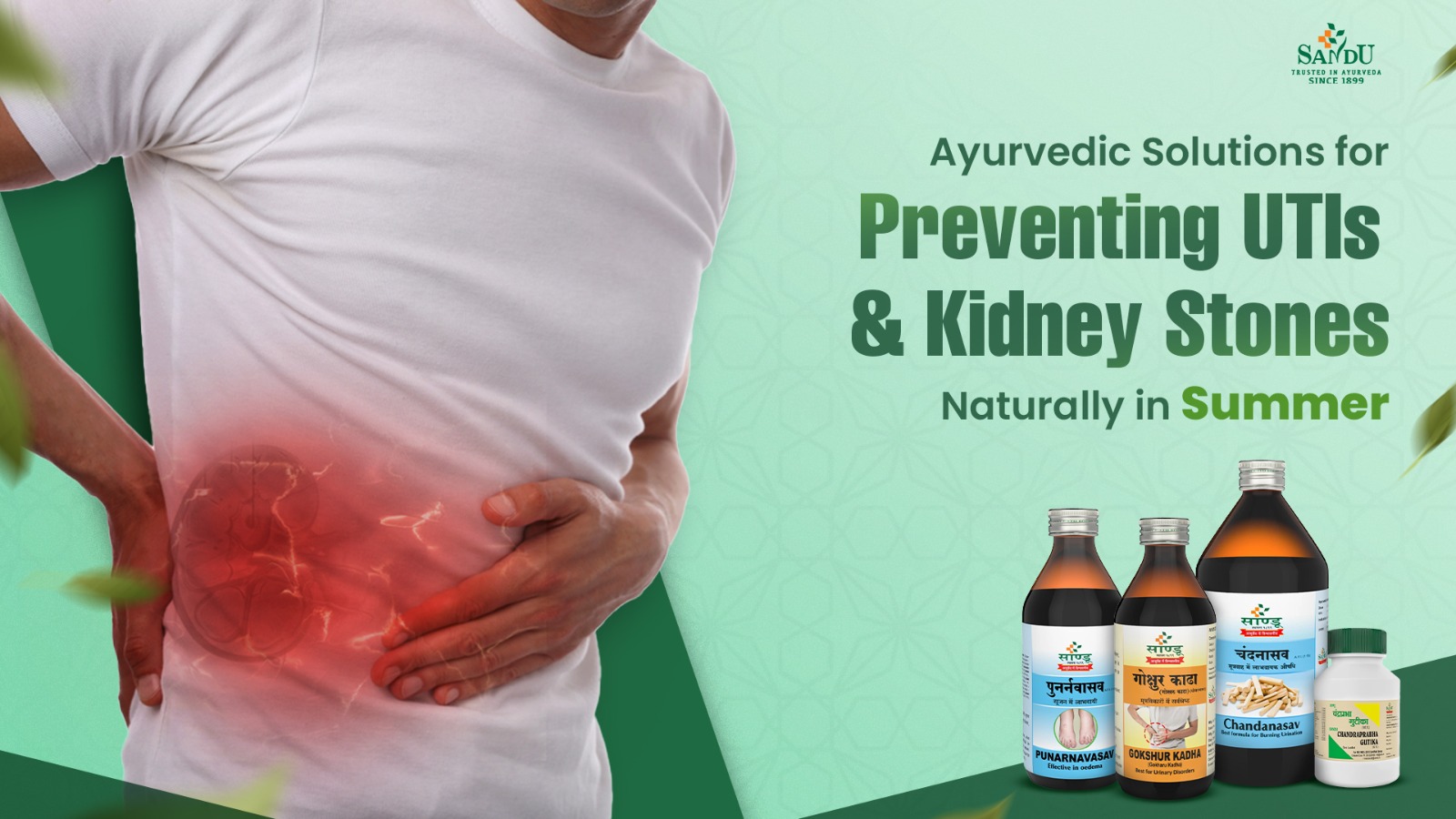 Ayurvedic Solutions for Preventing UTIs & Kidney Stones Naturally in Summer 
